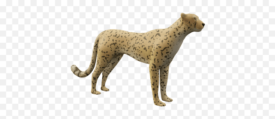 Cheetah Png Transparent
