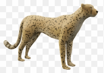 Cheetah Png Transparent