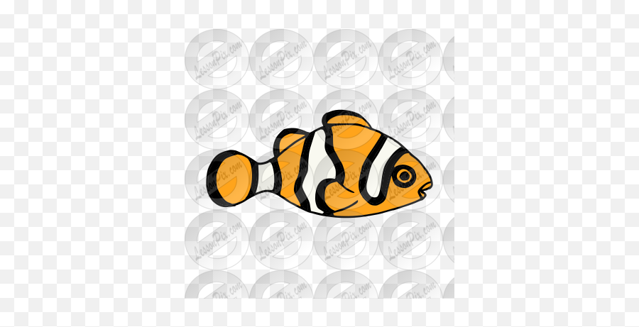 Clownfish Picture For Classroom - Fish Products Png,Clownfish Png