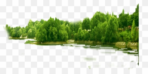 Forest Green Tree Png Clip Art Image - Transparent Background Trees Png ...