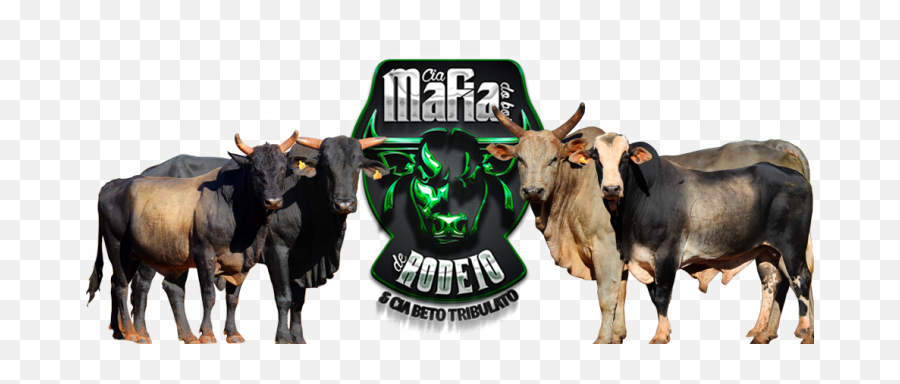 Mafia Do Boi Chrome Theme - Themebeta Ox Png,Boi Png