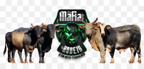 Mafia Do Boi Chrome Theme - Themebeta Ox Png,Boi Png