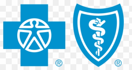 Home - Blue Cross Blue Shield Log Png,Blue Cross Png