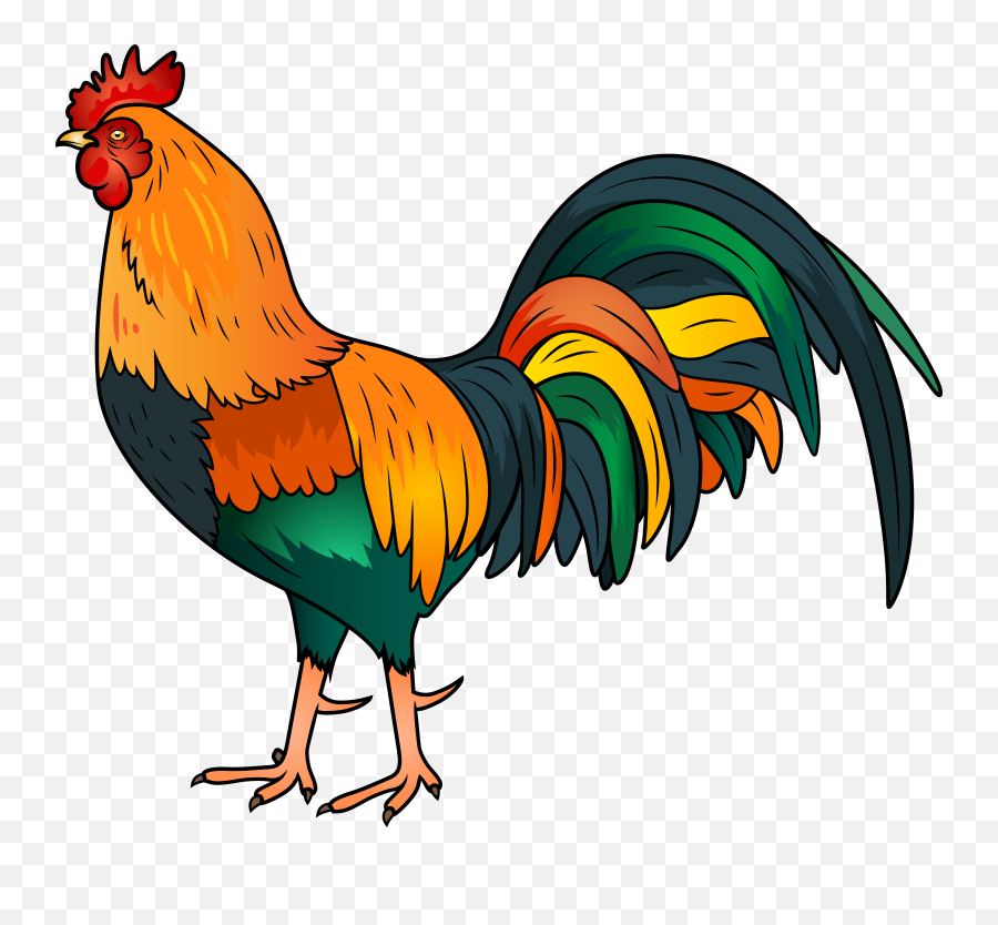 Rooster Clipart Png