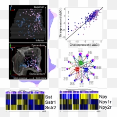 A Spatially - tracked single cell transcriptomics map of Dot png