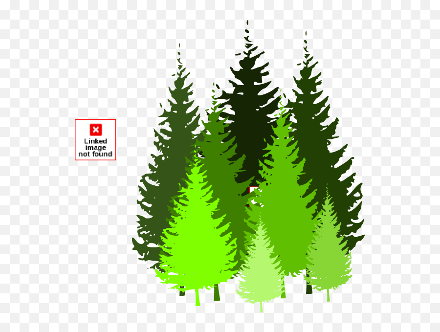 Library Of Conifer Tree Clipart Royalty - Pine Tree Clipart Free Png,Minecraft Tree Png