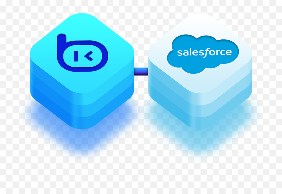 Done For You Salesforce Integrations Bailey - Language Png,Discord Typical Bot Icon