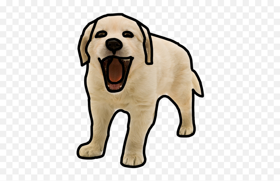 Ban The Picture Above You Fandom - Animal Figure Png,Labrador Icon