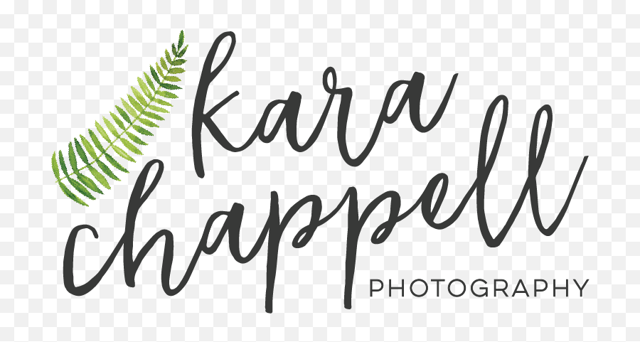 Coming Soon U2014 Kara Chappell Photography Png Transparent Background