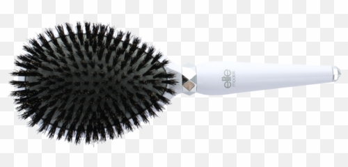 How To Choose A Hair Brush Elite Models Accessories - Indore Vidya Bhavan Public School Png,Hairbrush Png