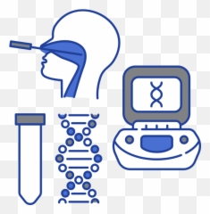 Rapid Pcr U0026 Testing - Recovery png