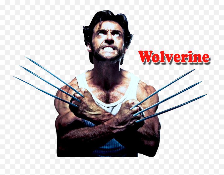 Wolverine Png Transparent Images 13 - Wolverine X Men Png,Wolverine Png