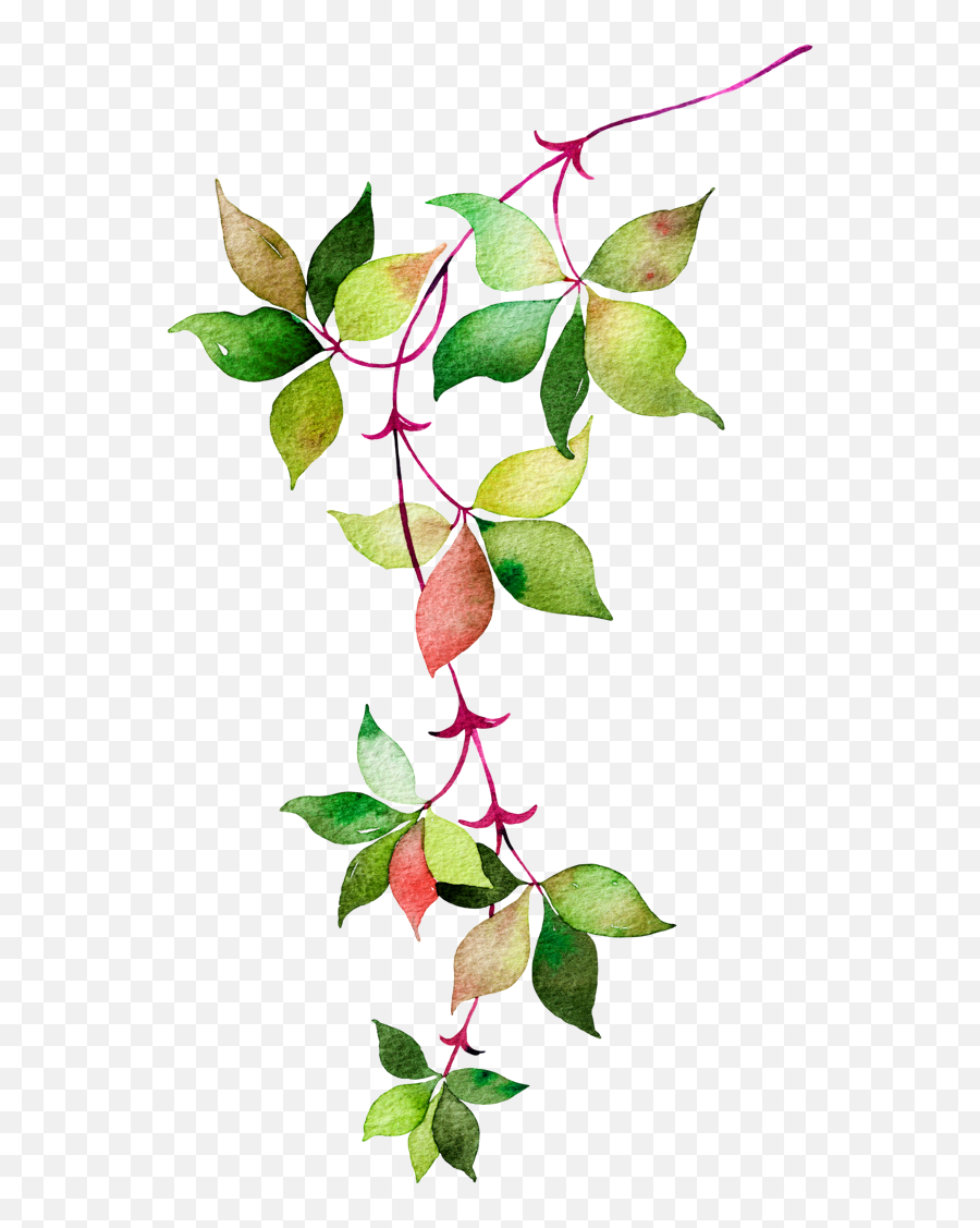Flower Euclidean Icon Watercolor Leaves - Watercolor Leaves And Flowers Png,Green Transparent Background
