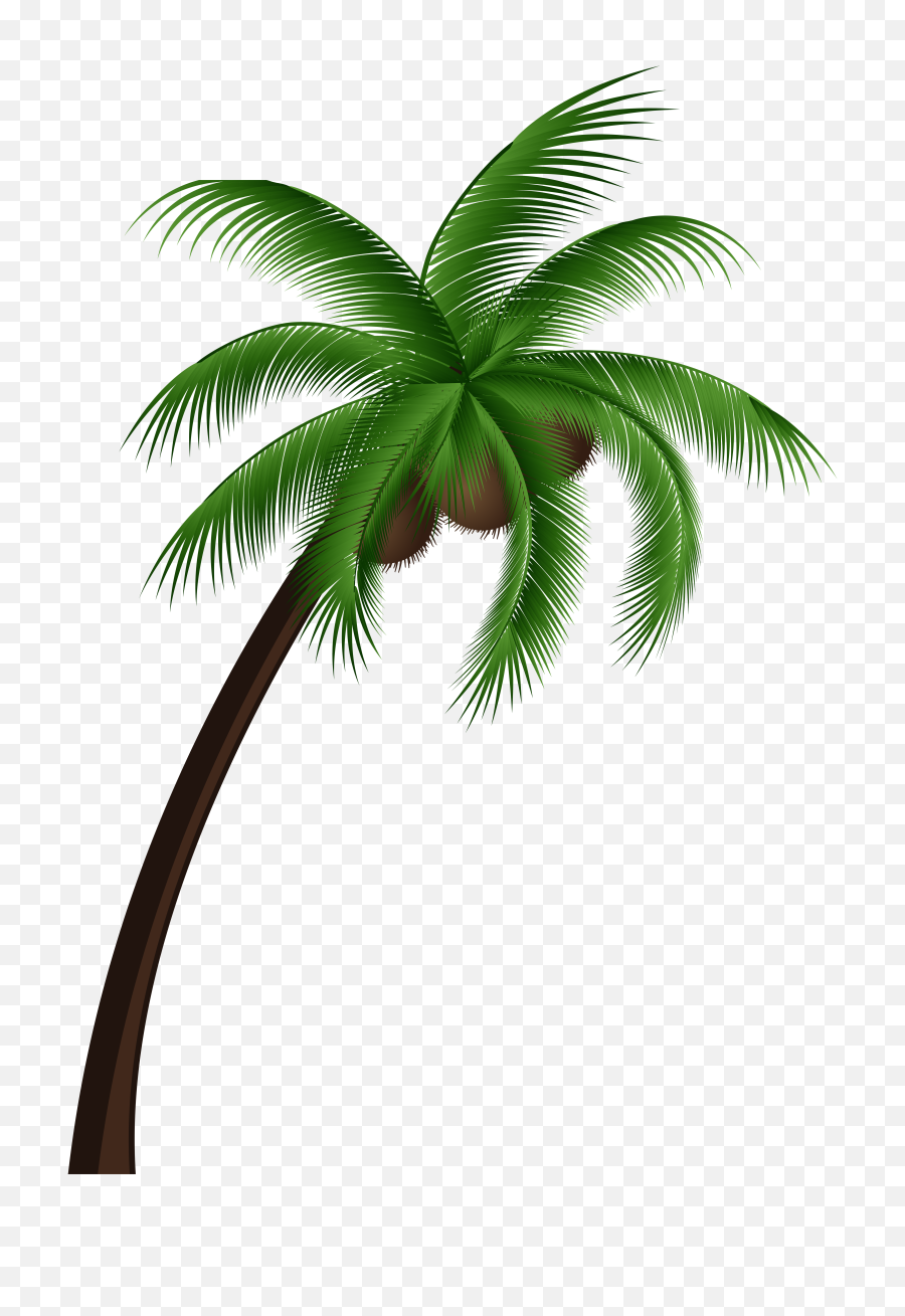 Coconut Tree Vector Transparent Png - Coconut Palm Tree Png,Coconut Png