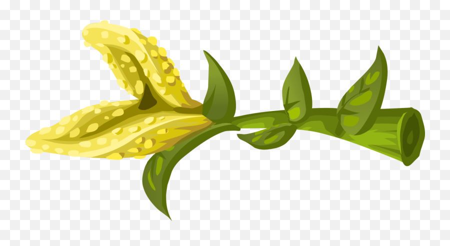 Plantfloraleaf Png Clipart - Royalty Free Svg Png Clip Art,Canada Leaf Png