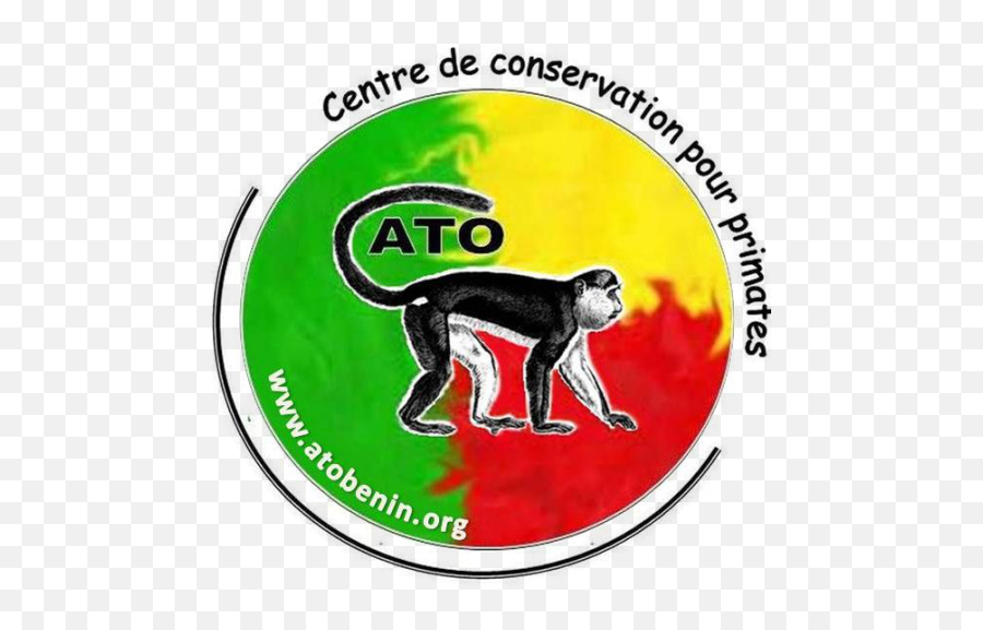 Cropped - Logoato1png U2013 Ato,Lemur Png
