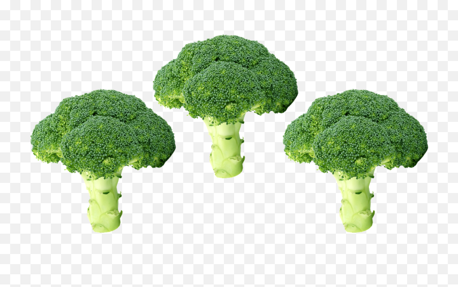 Green Broccoli Transparent Png - Brocolis Png,Broccoli Transparent