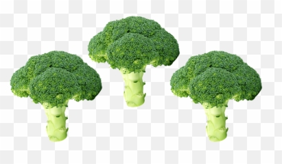 Green Broccoli Transparent Png - Brocolis Png,Broccoli Transparent