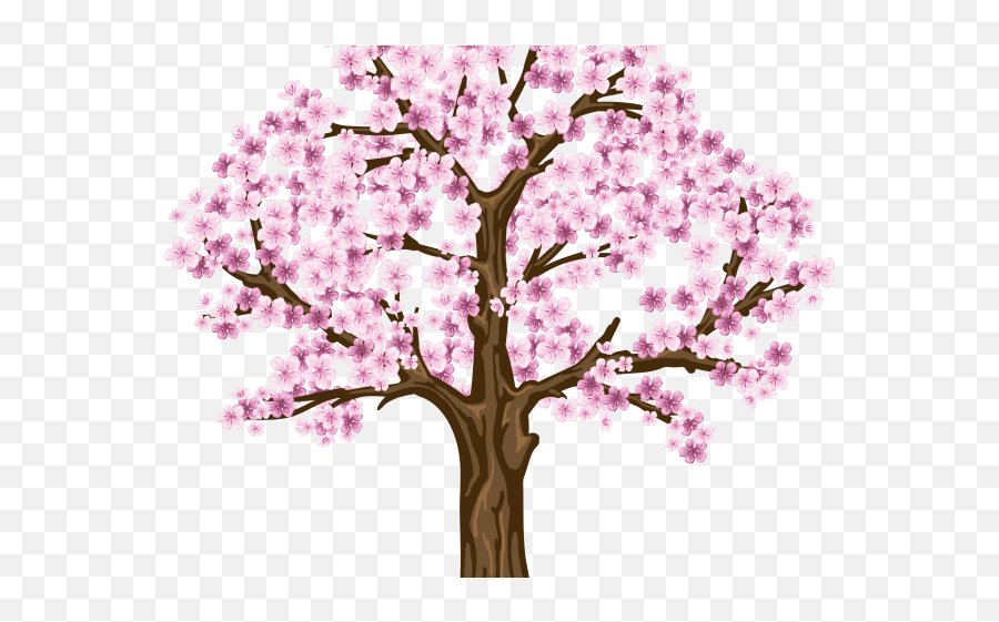 Download Sakura Clipart Dogwood Tree - Cherry Blossom Tree Clipart Png,Cherry Blossom Tree Png