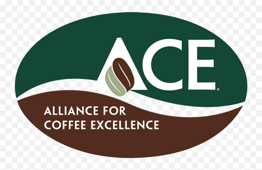 The - Coffeeacademicsthecoffeeacademicsinstagramphotosand Dog Excellence Png,Instagram New Logo