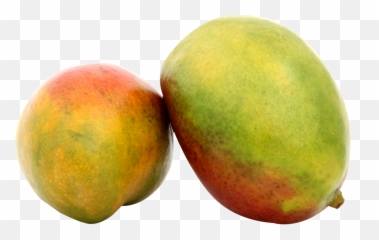 Two Mango Png Image - Purepng Free Transparent Cc0 Png Portable Network Graphics,Mango Transparent Background