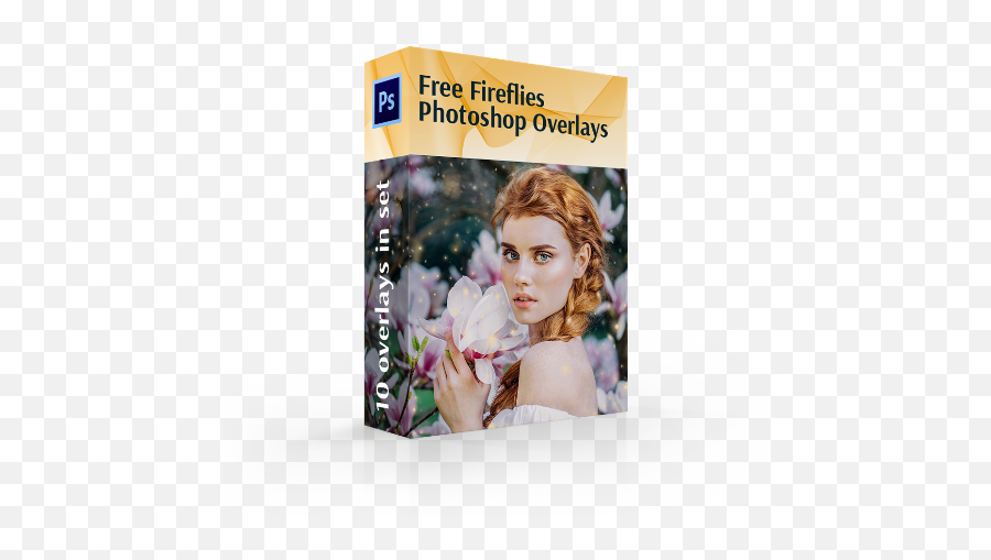 Superposition De Luciole Pour Photoshop Télécharger - Garden Roses Png,Firefly Png