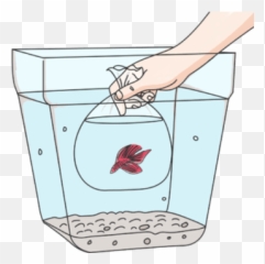 Habitat Drawing Fish Tank Picture 2284795 - Betta Fish Water Temperature Png,Betta Fish Png