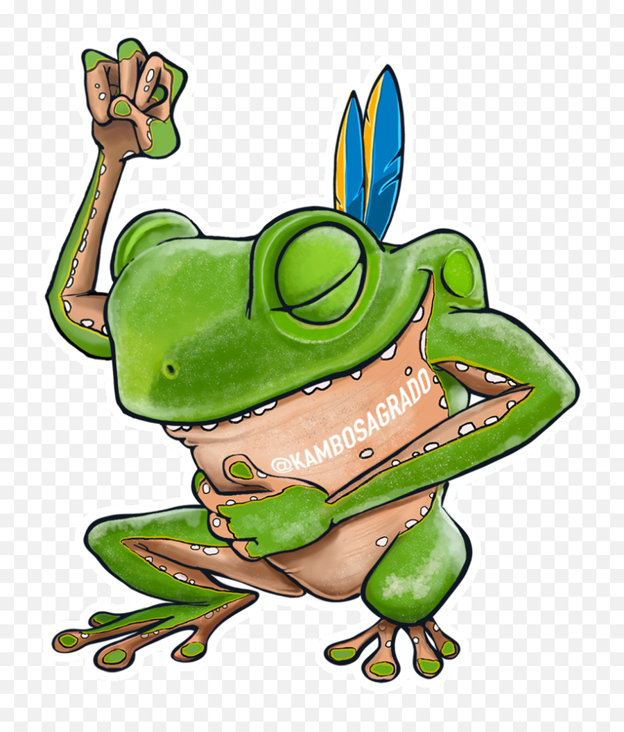 Frog Art U2014 Kambô Sagrado - Happy Birthday Kambo Png,Sticker Png