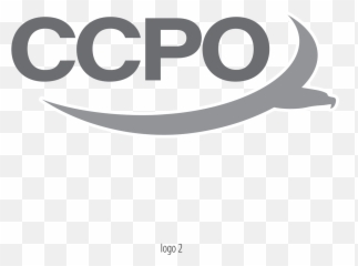 Abol Bahadori - Design Process of CCPO Seal for the Pentagon Circle png