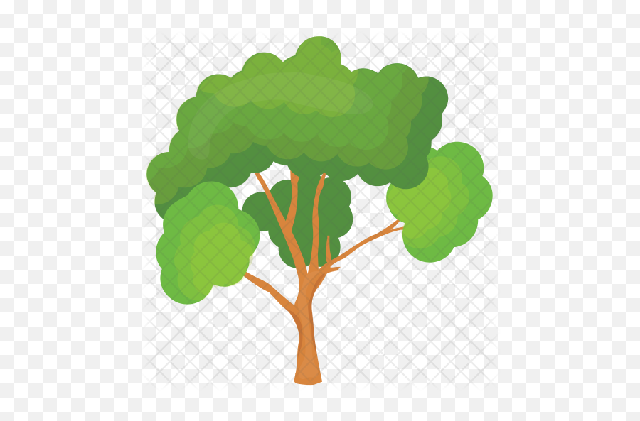 Scots Pine Tree Icon - Maidenhair Tree Png,Pine Tree Branch Png