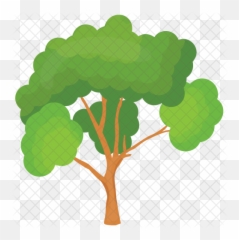 Scots Pine Tree Icon - Maidenhair png