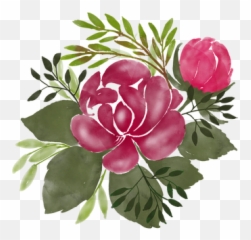 Watercolor Flowers Images - png