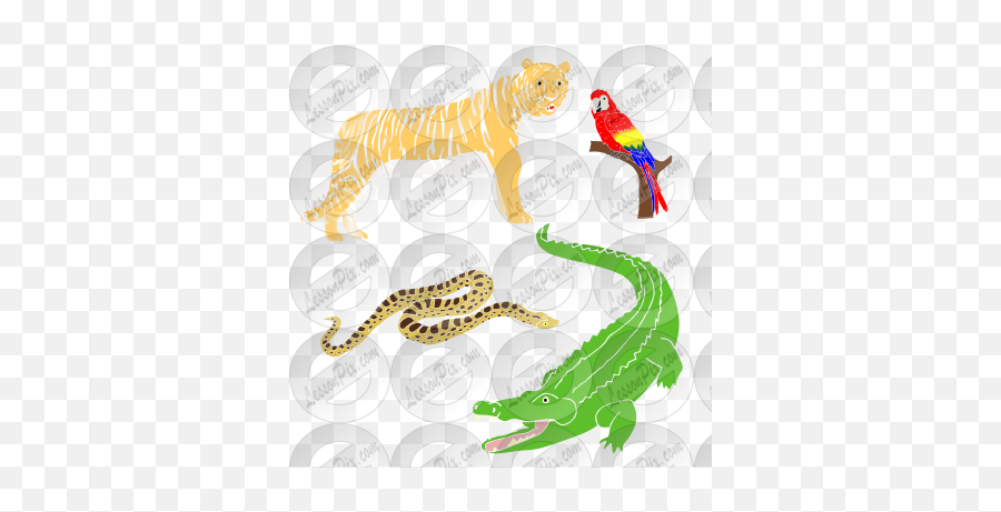 Jungle Animals Stencil For Classroom Therapy Use - Great Illustration Png,Jungle Animals Png
