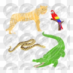 Jungle Animals Stencil For Classroom Therapy Use - Great Illustration Png,Jungle Animals Png