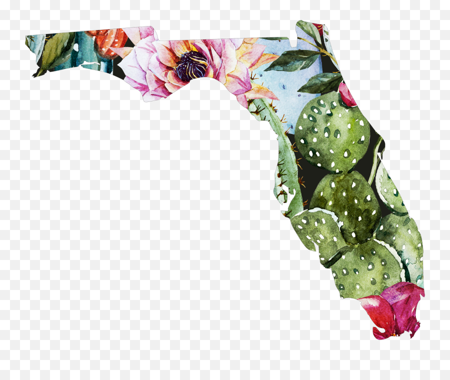Cactus State Florida Download Png Transparent