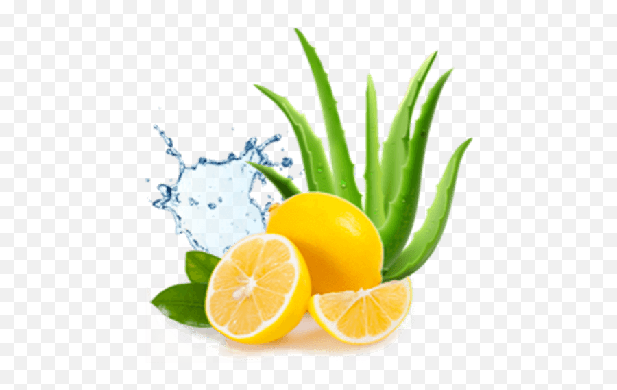 Aloe Vera U0026 Lime Soap For Fresh Moisturized Skin - Godrej Lemon And Aloe Vera Png,Aloe Vera Png