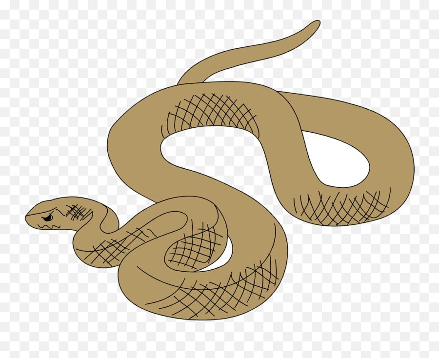 Clipart Snake Venomous - Cartoon Brown Tree Snake Png,Snakes Png