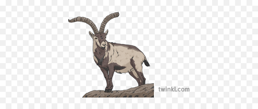 Montes Goat Cabra Animal Bucardo Horns - Alpine Ibex Png,Goat Horns Png