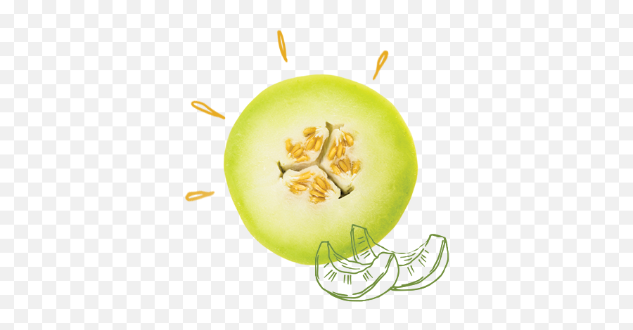 Our Melons - Vegetable Png,Honeydew Png