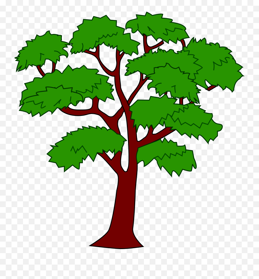 Library Of Big Tree Royalty Free Download Png Files - Coat Of Arms Belize,Big Tree Png