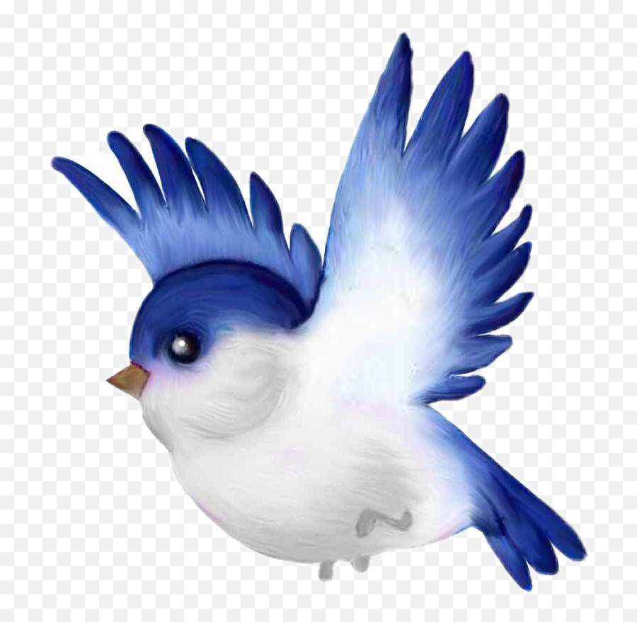 Bluebird Clip Art - Png Download Full Size Clipart Cute Bird Cartoon Transparent,Bluebird Icon