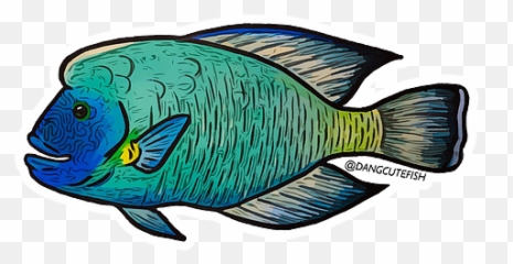 Custom Logos Dang Cute Fish - Illustration Png,Cute Logo