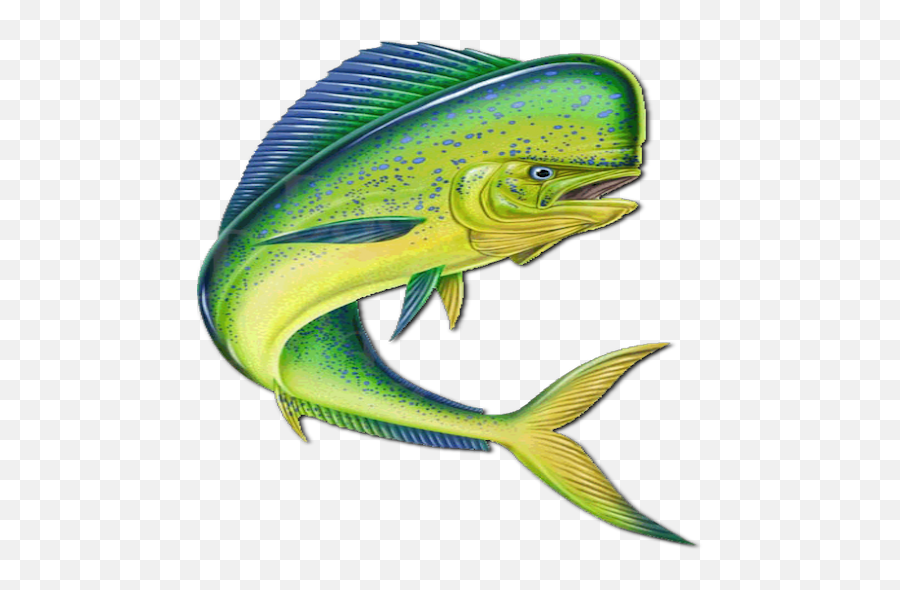 Real - Time Information And Consumption What Can Water Demand Jumping Mahi Mahi Drawing Png,Fish Out Of Water Icon