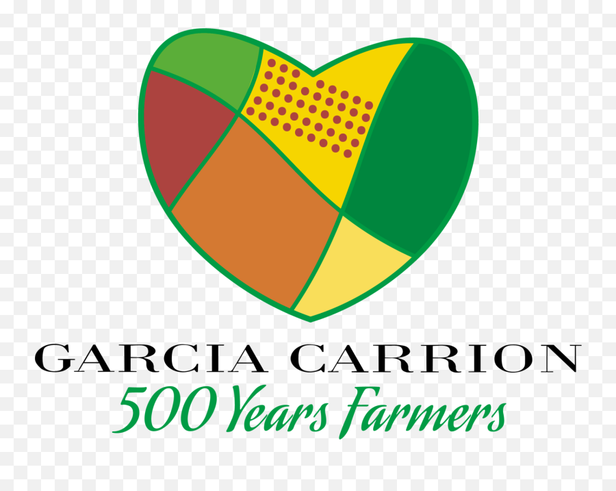 Grupo Garcia Carrion U2013 Web Corporativa - Language Png,Carrion Icon