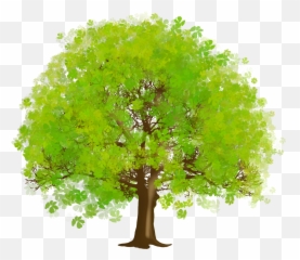 Free Trees Png Image Download Clip Art - Green Tree Clipart Png,Tree Canopy Png