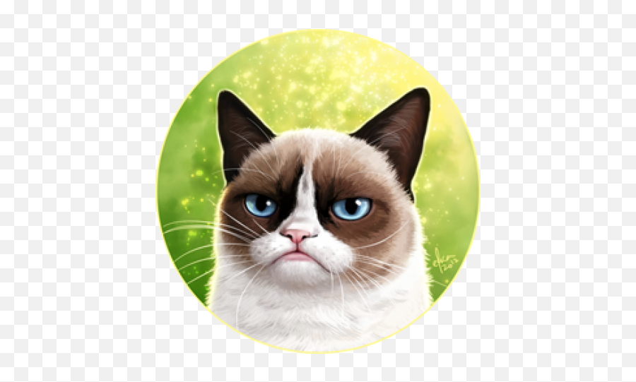 Imattpro Matt Friedman Github - Grumpy Cat Png,Grumpy Cat Icon
