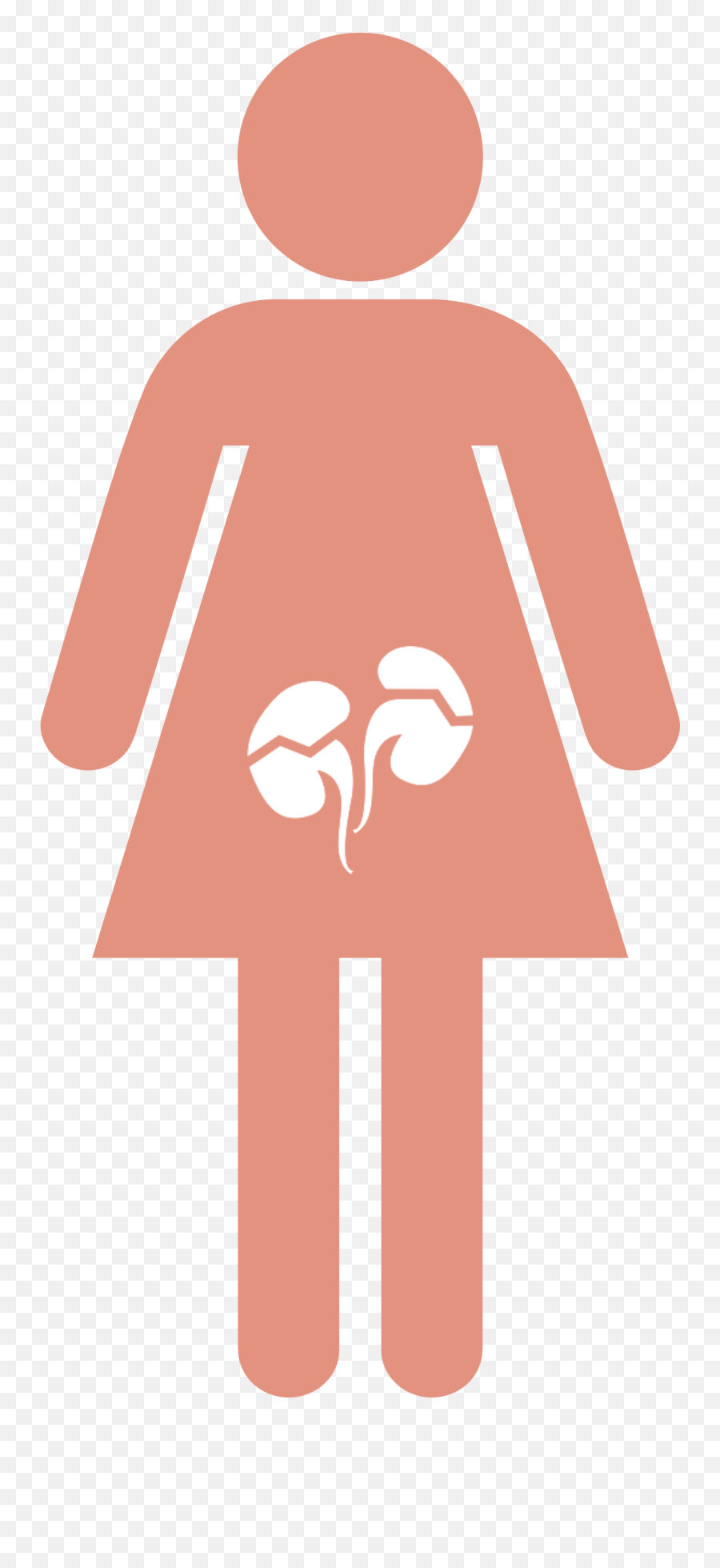 Hybridize Therapeutics - Vector Pink Female Symbol Png,Kidney Icon