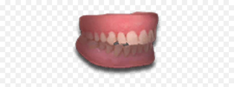 Cracked Dentures - Official Wasteland 3 Wiki Dentures Png,Dentures Icon