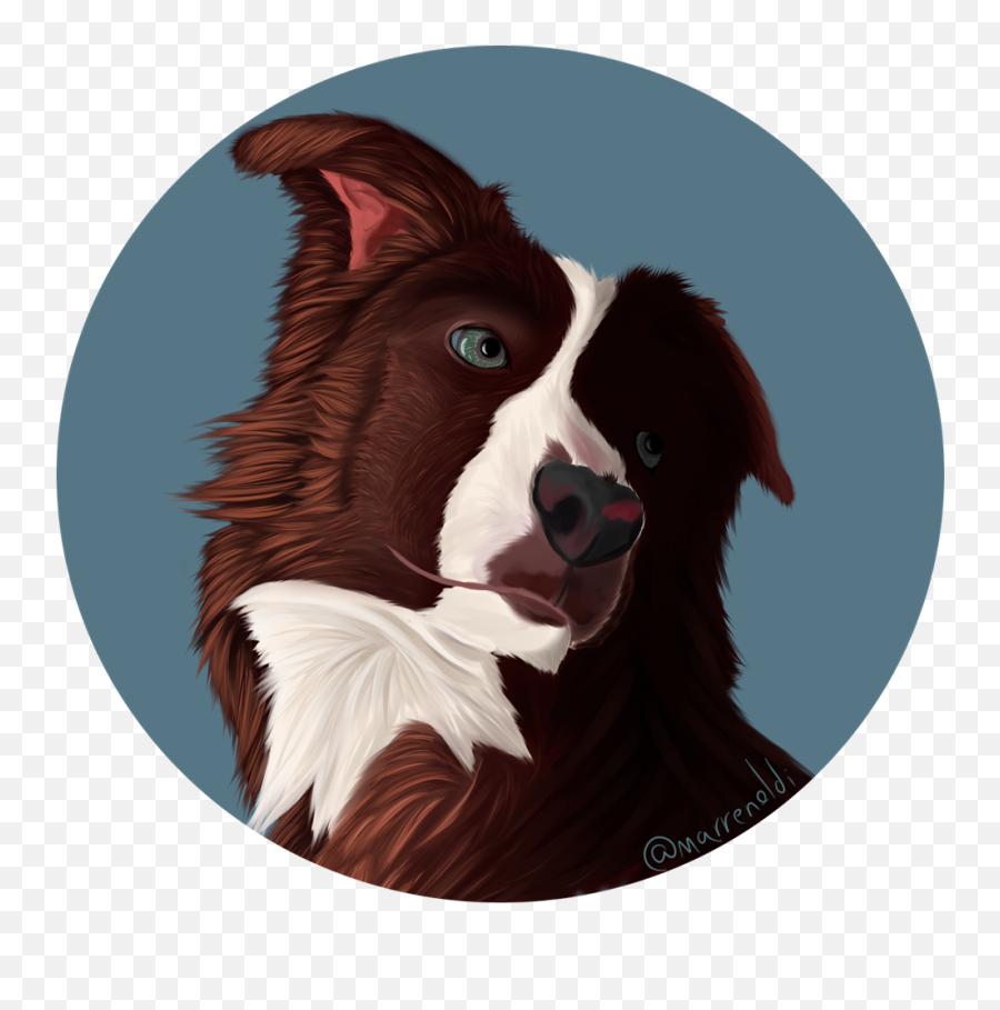 Dog Icon Semi Realistic - 20 By Notturna Fur Affinity Northern Breed Group Png,Icon Border Collies