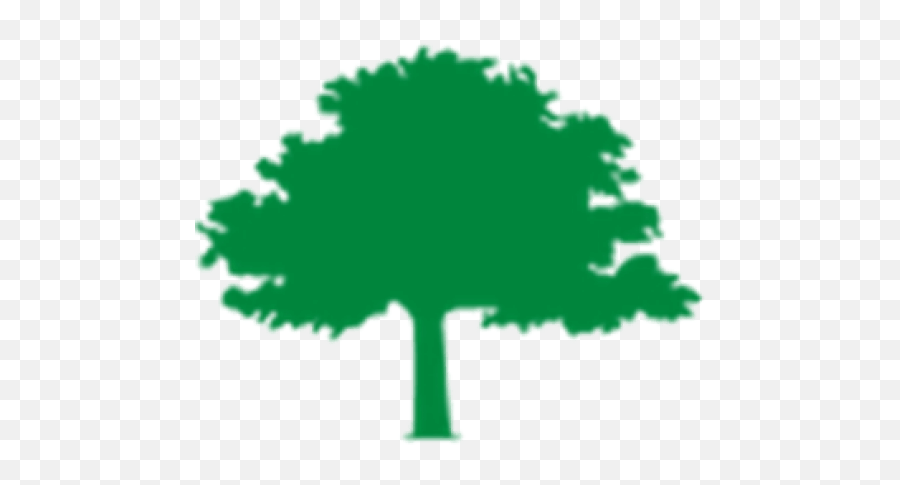 Tree Fund Organization Funding Urban Forestry - Pruning Big Tree Inn Geneseo Ny Logo Png,Forest Trees Png